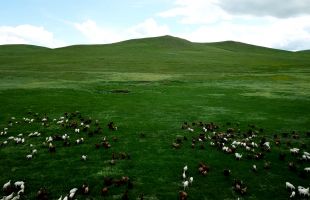内蒙古将启动开展第二轮第三批自治区生态环境保护督察