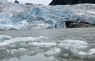 阿拉斯加朱诺冰原加速融化 全球变暖反馈效应加剧