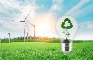 健全全面绿色转型体制机制 推进零碳能源转型