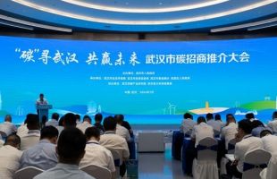 签约51个项目金额346亿元 武汉市碳招商推介大会落幕