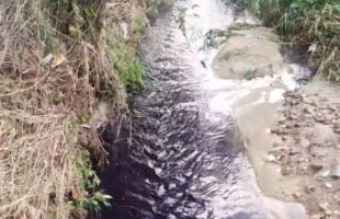 山东威海一小河河水变紫，生态环境局：大雨冲坏污水管网