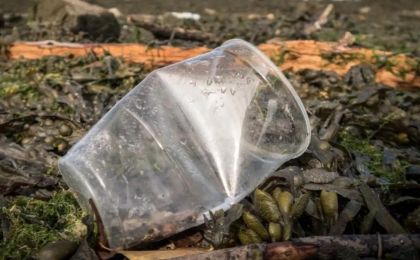 塑胶废物潜藏微生物群落或引发生态危机