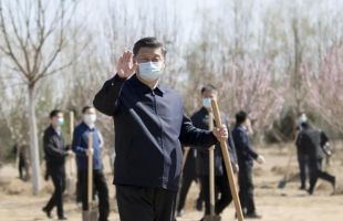 习近平：牢固树立绿水青山就是金山银山理念 打造青山常在绿水长流空气常新美丽中国