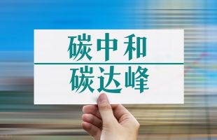 中共中央 国务院关于完整准确全面贯彻新发展理念做好碳达峰碳中和工作的意见