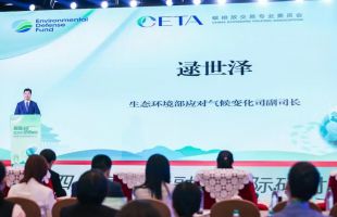 生态环境部逯世泽：碳市场成为对外展示国家战略的重要舞台