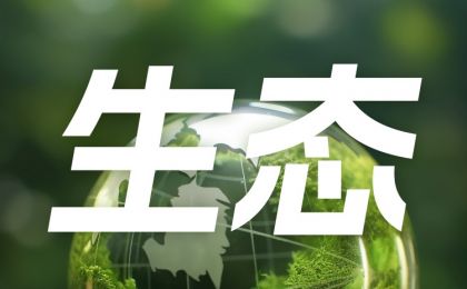 网友接力“晒河湖”
