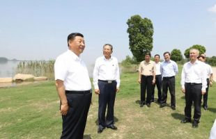 习近平在安徽考察调研：把生态保护好，把生态优势发挥出来，才能实现高质量发展