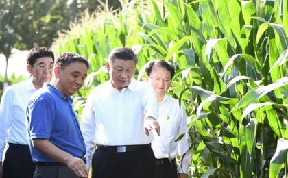 习近平在吉林考察：要牢固树立绿水青山就是金山银山的理念，实施好重大生态工程