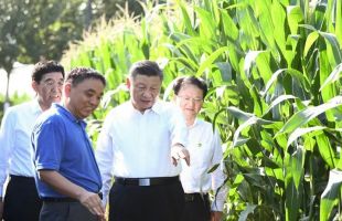 习近平在吉林考察：要牢固树立绿水青山就是金山银山的理念，实施好重大生态工程