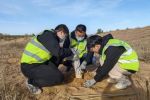 湖南高校团队研发固废基“水核能芯”竹篓技术 开辟沙漠生态治理新通道