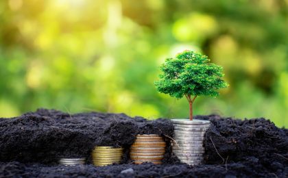 三部门印发《绿色金融支持项目目录（2025年版）》