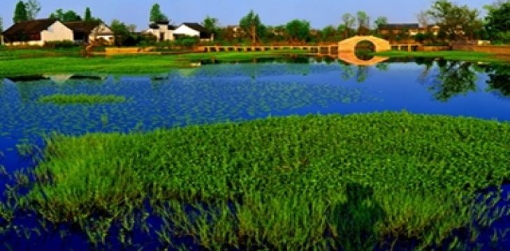 保护大美湿地 共享生态福祉
