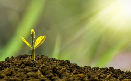 新版绿色金融支持项目目录出炉，助力资金精准投放