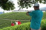 “两山”理念发源地安吉走访见闻：奏响山水富民乐章