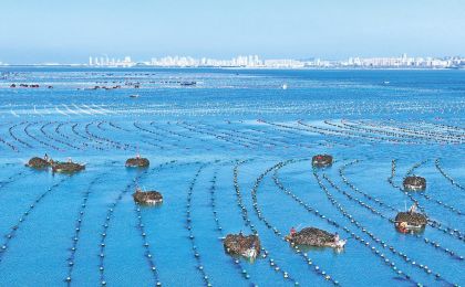 中国海水产品产量连续多年全球第一