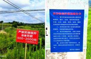 常宁市线上线下齐发力 秸秆禁烧宣传全覆盖