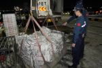 涉案渔获40余吨！海警查获2起使用违规网具非法捕捞案？