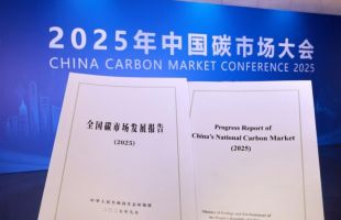 重磅!《全国碳市场发展报告(2025)》正式发布