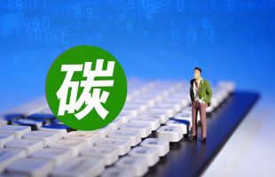 复旦大学陈诗一:中国碳信用质量实现显著提升 具备参与全球碳信用互认基础