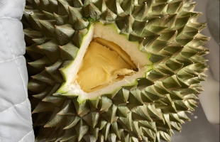 落地检”助榴莲锁鲜通关