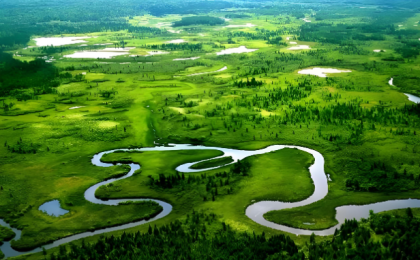 “中国绿”,绘就高质量发展底色