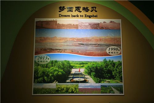 对比.jpg