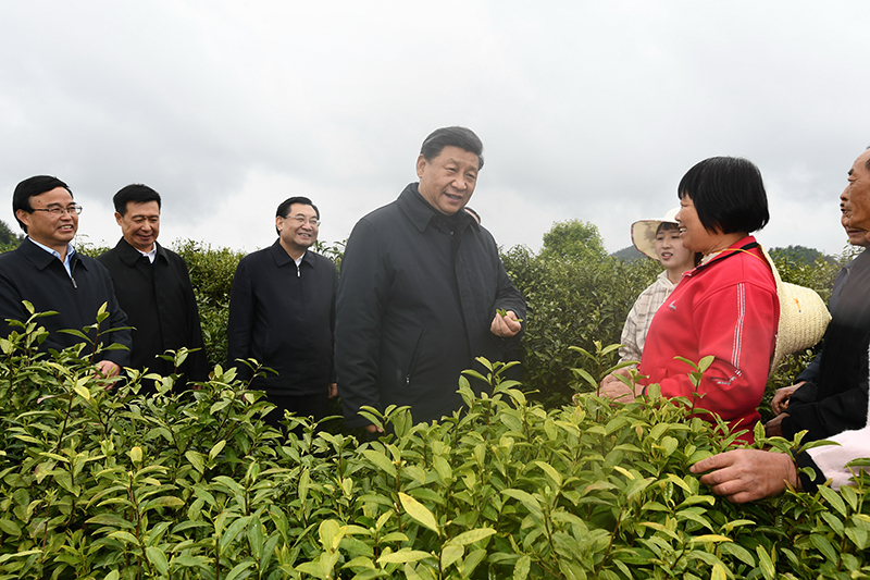 2020年4月21日，习近平在陕西安康市平利县老县镇蒋家坪村女娲凤凰茶业现代示范园区，同茶农们亲切交谈。