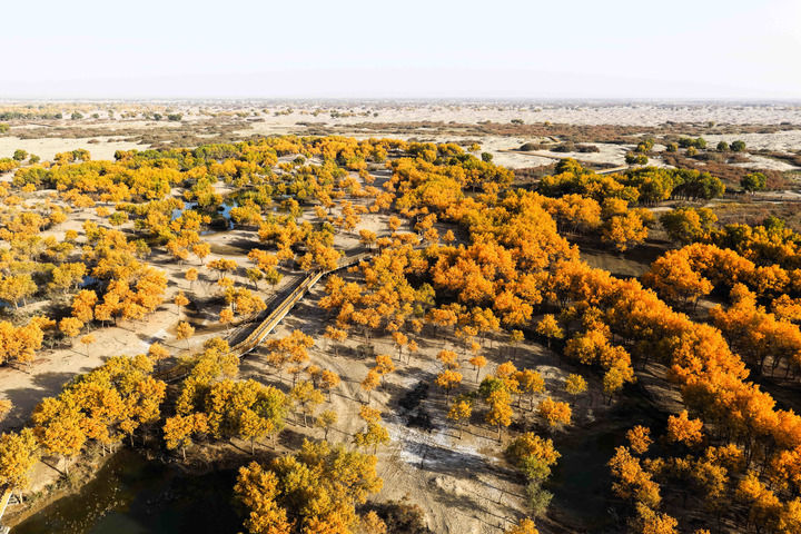 1761641166498422.jpg 这是2025年10月19日拍摄的新疆和田地区洛.jpg