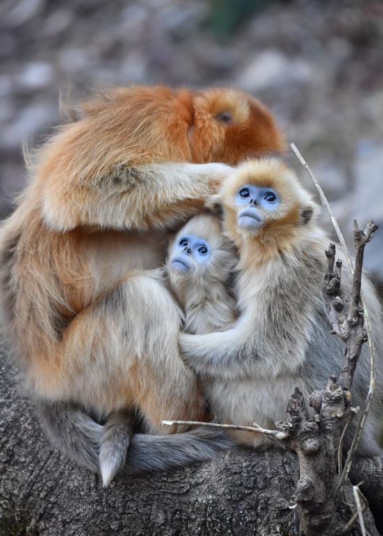 1765789053434760.jpg 这是12月11日在陕.jpg