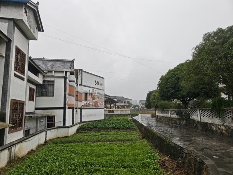 1767162921368507.jpg 花茂村的乡间小道。.jpg