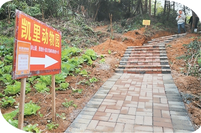 1767598295834933.jpg 通往凯里动物园的路,.jpg