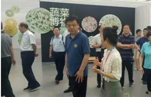 北京市政协主席吉林等领导视察世园会百蔬园