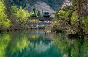 生态奇观董家河