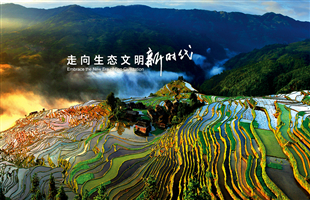 如何打造人才生态最优区？这场论坛有答案