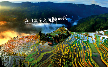 如何打造人才生态最优区？这场论坛有答案