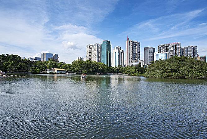 深圳以硬作风硬举措完成治污硬任务
