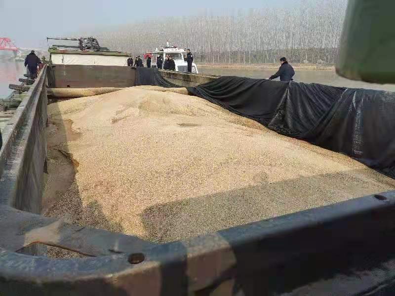 “幽灵船”一夜吸沙千吨！邳州破获非法采砂大案，案值近500万元