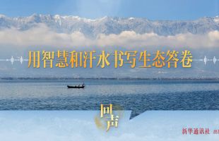 用智慧和汗水书写生态答卷