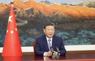习近平：各尽所能 团结协作 推动共建清洁美丽可持续的世界