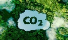 你了解碳排放配额与国家核证自愿减排量吗？