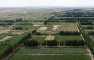 从荒漠到绿洲，中国治沙人用 45 年铸就生态奇迹