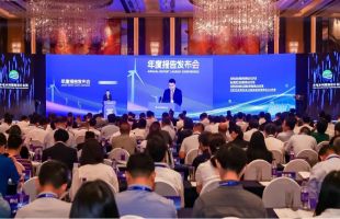 《中国可再生能源发展报告2024年度》发布