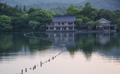 城市公园为何留“荒野”？