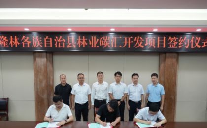 广西百色首个林业碳汇项目签约落地