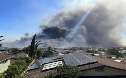美国夏威夷：清理前年野火垃圾需50辆卡车运5个月