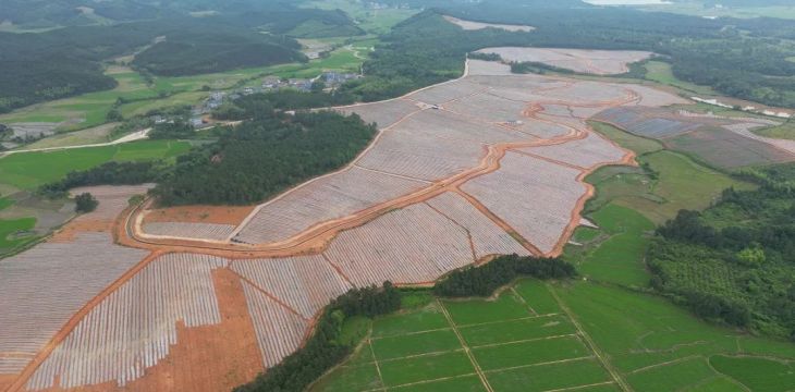 30万亩林海何以生“金”？