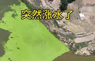 河南南阳涧河部分河段被污染，现场正在抽水清淤，多部门回应