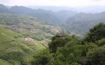 在浙江省率先享受“浙林碳汇”项目收益分红 龙泉16个村领到12.4万元“空气红利” 