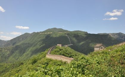 “人与自然是生命共同体”重要论断的理论创新和实践伟力