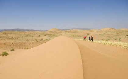 宁夏腾格里沙漠固沙锁边林草带全面“合龙”